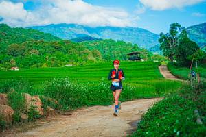 BIB: 
                            <button type="button" onclick="openModal(25042459)" class="btn btn-primary btn-sm float-right btn-popup" data-toggle="modal" data-target=".modal-high-quality">
                        <i class="fas fa-shopping-cart"></i> Add to Cart
                    </button>
                                            <button type="button" onclick="isThisMe(25042459, true)" class="btn btn-success btn-sm float-right btn-popup btn-isme hidden" data-toggle="tooltip" data-placement="bottom" title="นี่คือรูปของคุณใช่ไหม คลิกที่นี่เพื่อเอาเข้าอัลบั้ม">
                        <i class="fas fa-plus"></i> Add to album
                    </button>
                    <button type="button" onclick="isThisMe(25042459, false)" class="btn btn-warning btn-sm float-right btn-popup btn-isnotme hidden">
                        <i class="fas fa-ban"></i> Remove from album
                    </button>